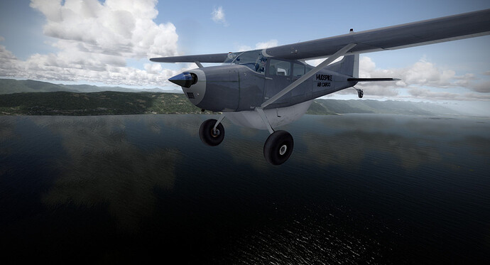 CARGO-341