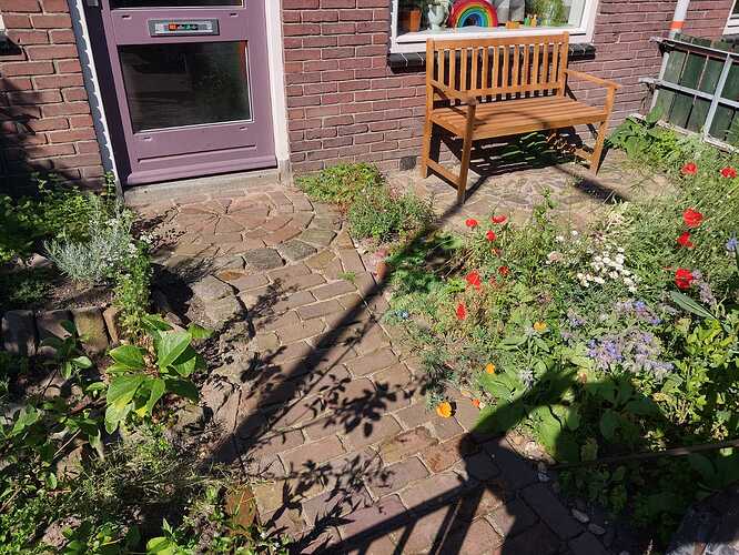 WhatsApp Image 2024-06-26 at 13.08.32_6505cb7f