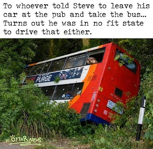 17853542139275392080354863219470