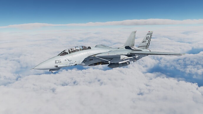 tomcat2