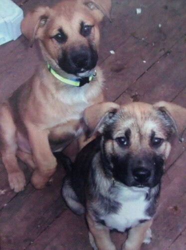 293658996_5567668676578179_269653842628298351_n