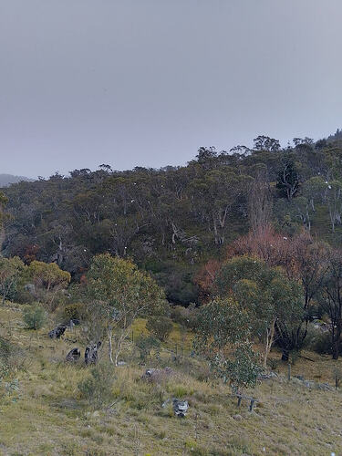 IMG20260507094757HDR