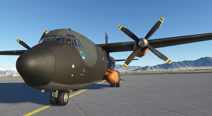 FS2020_20231109_230858_R