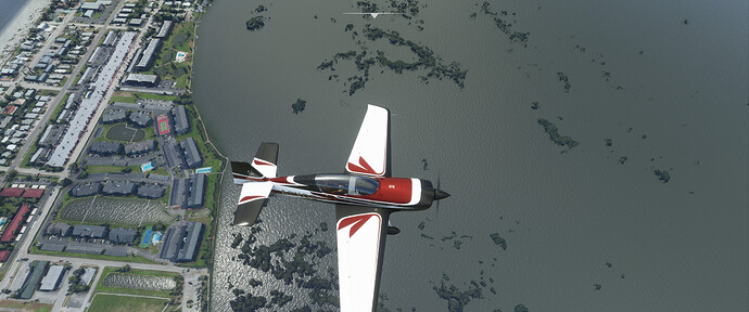 FS-173