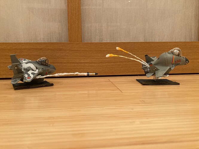 IMG-3491