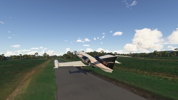 Microsoft Flight Simulator 2024 Screenshot 2025.06.20 - 17.50.21.90 - Copy