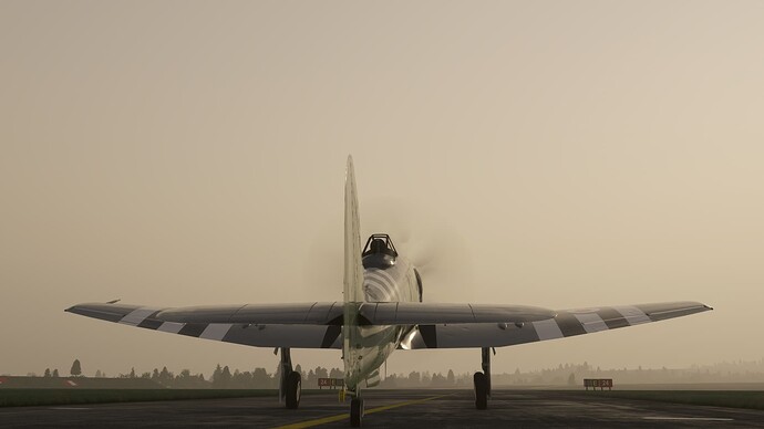 Microsoft Flight Simulator Screenshot 2024.11.05 - 21.18.11.52