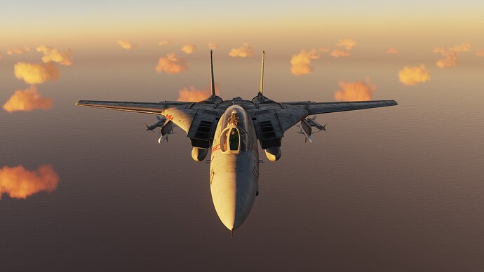 tomcat4