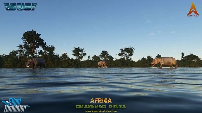 okavangodelta_13_1