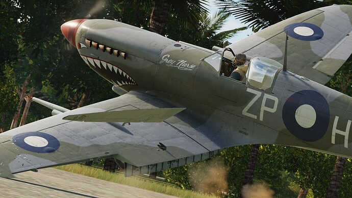 Digital Combat Simulator  Black Shark Screenshot 2021.08.01 - 00.00.50.71