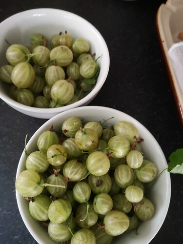 15937014070039117008495730489405