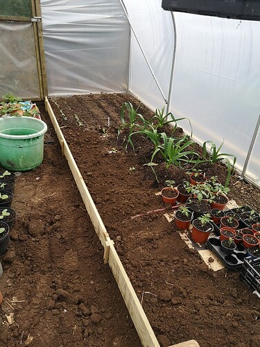 IMG_20200505_130922_1