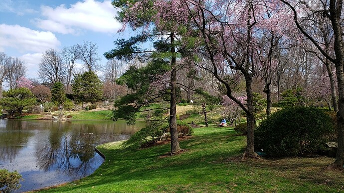 20190406_122051