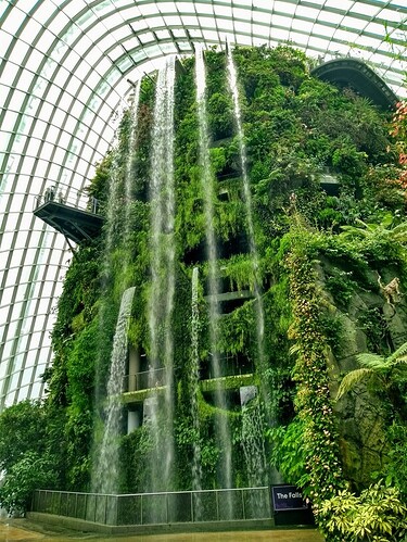 IMG_20181129_115644644_HDR