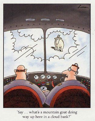 02bb648f0835b142a40ef0f48ea2f368--mountain-goats-aviation-humor