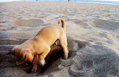 sand3