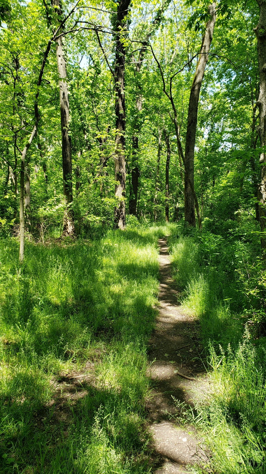 20200509_135813