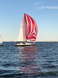 IMG_1084