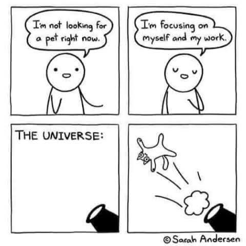 486814656_1176053854164964_5356807570160513775_n