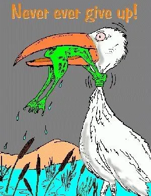 ngu_frog